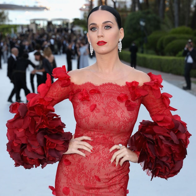 Katy Perry Just Made A Huge Donation To This Organization, And She’s ...