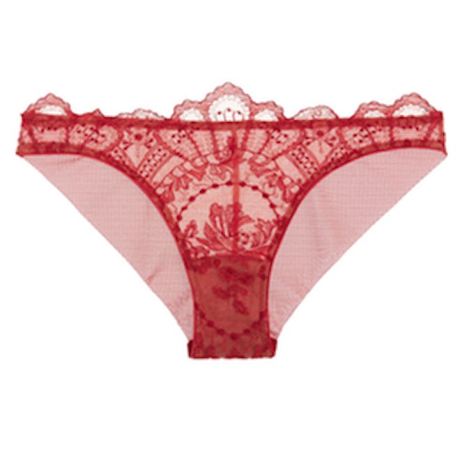 La Naissance de Venus Embroidered Tulle Briefs