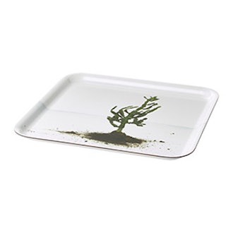 Stunsig Tray Cactus