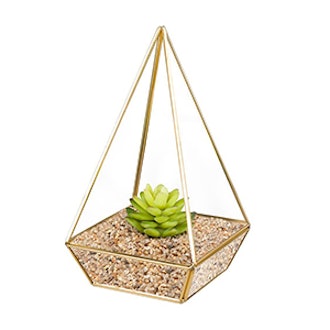 HOMEIDEAS Modern Terrarium