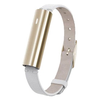 Ray Goldtone Stainless Steel Fitness & Sleep Tracker