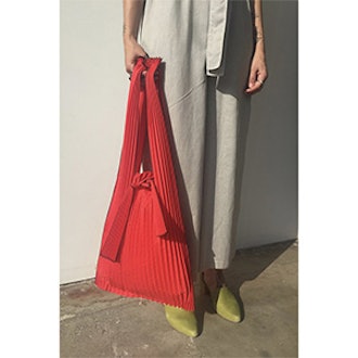 Pleated Bag