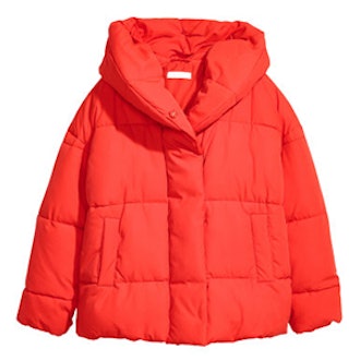 Padded Jacket With Hood