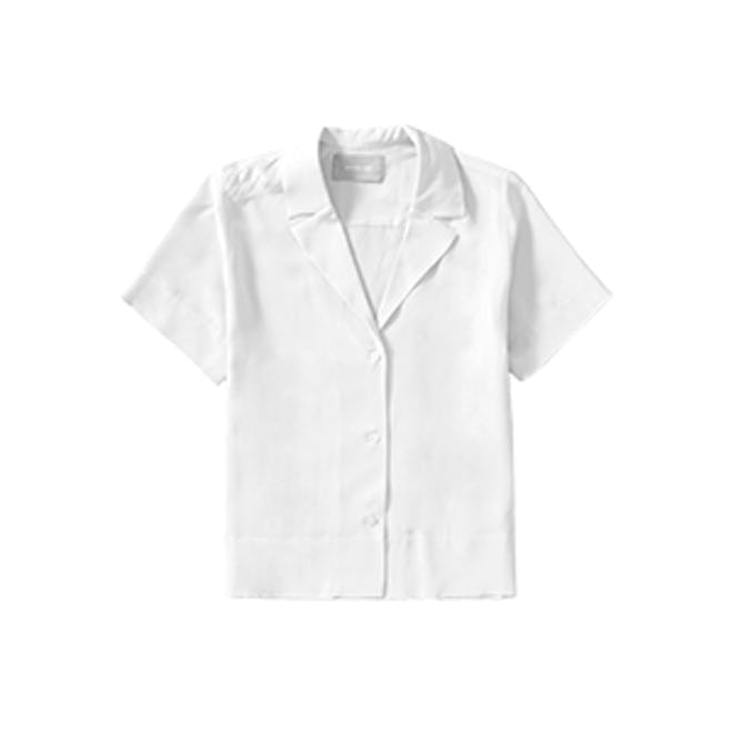 The Silk Notch Collar Short-Sleeve Shirt