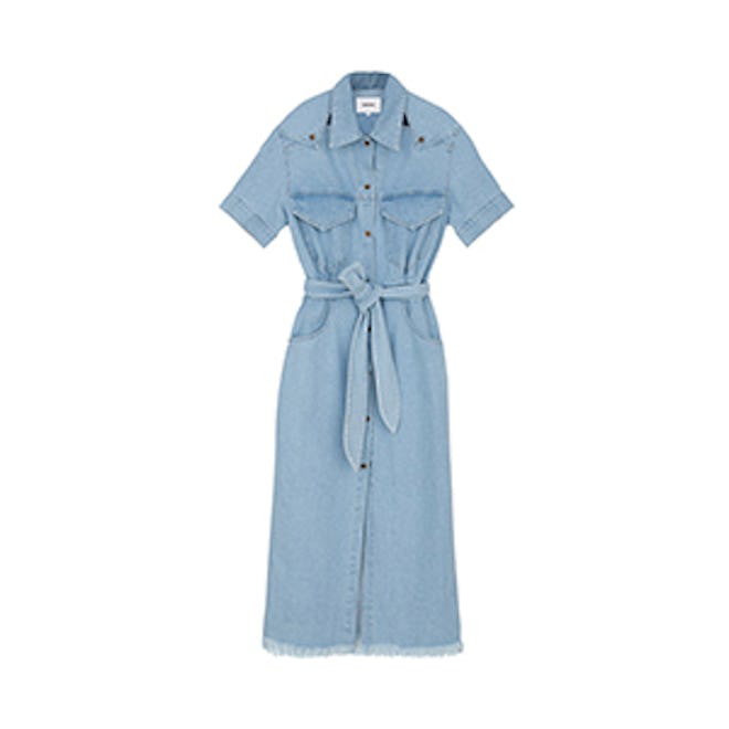 Goji Denim Shirt Dress