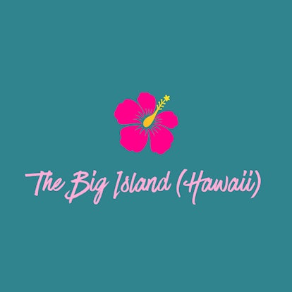 "The Big Island (Hawaii)" text sign and a flower drawing on a dark green background