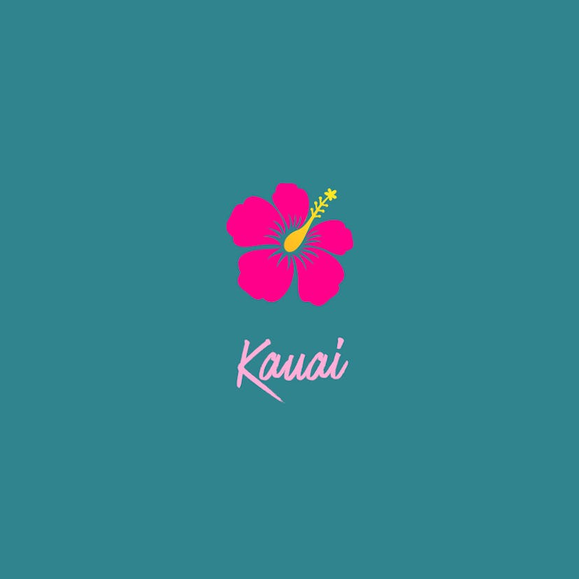 "Kauai" text sign and a flower drawing on a dark green background