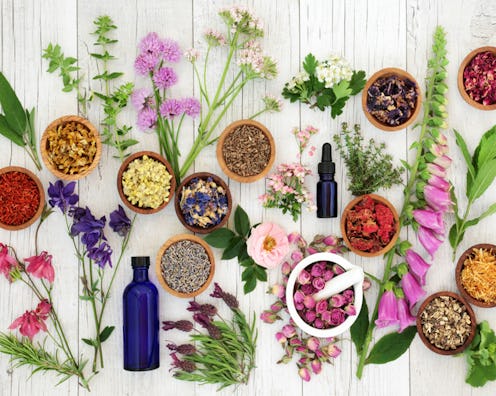 Superherbs, supplements, flowers and nutrients on a white table