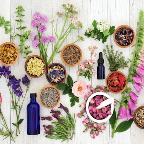 Superherbs, supplements, flowers and nutrients on a white table